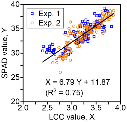 Fig. 3. Relationship between LCC values and SPAD values in two experiments