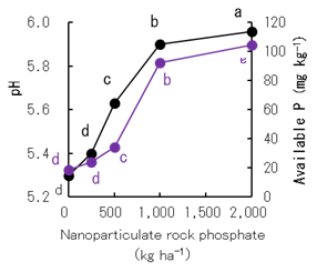 Fig. 3. Effects of nanoparticulate phosphate