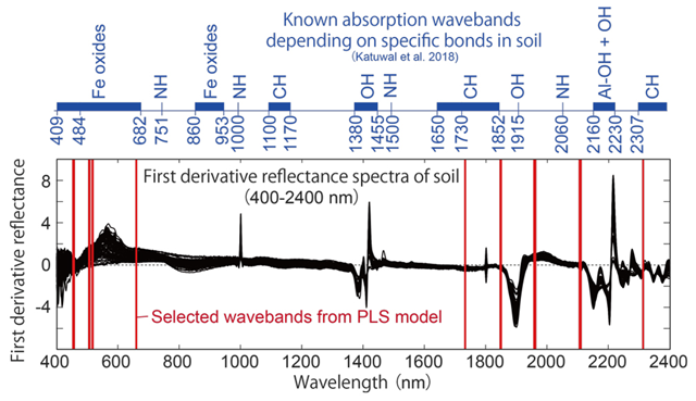 Fig. 3. Selected wavebands (red bars) in the PLS model