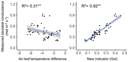 Fig. 2. Relationships between indicators based on thermal imaging and measured stomatal conductance. Gray area represents 95% confidence interval of the regression line.