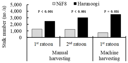 Fig. 3. Stalk number in early growth stage of the ratoon crop