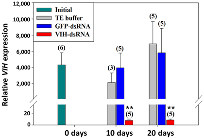 Fig. 2. Suppression of SGP-G gene expression following VIH-dsRNA injection. Groups are indicated as follows. Initial: non-treatment; TE buffer: shrimp injected with TE buffer as a vehicle control; GFP-dsRNA: shrimp injected with dsRNA for green fluorescen