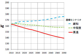 図2 現状の単収（収量）成長率での1人当たりコメ消費量（kg/年）推移