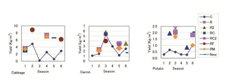 Fig. 1. Effects of continuous cropping on vegetable yield.