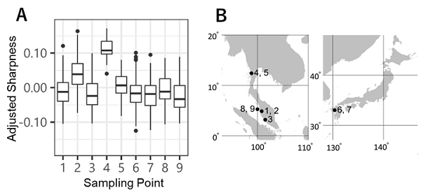 Fig 3. Adjusted sharpness indices of blood cockles (A) from sampling points (B)