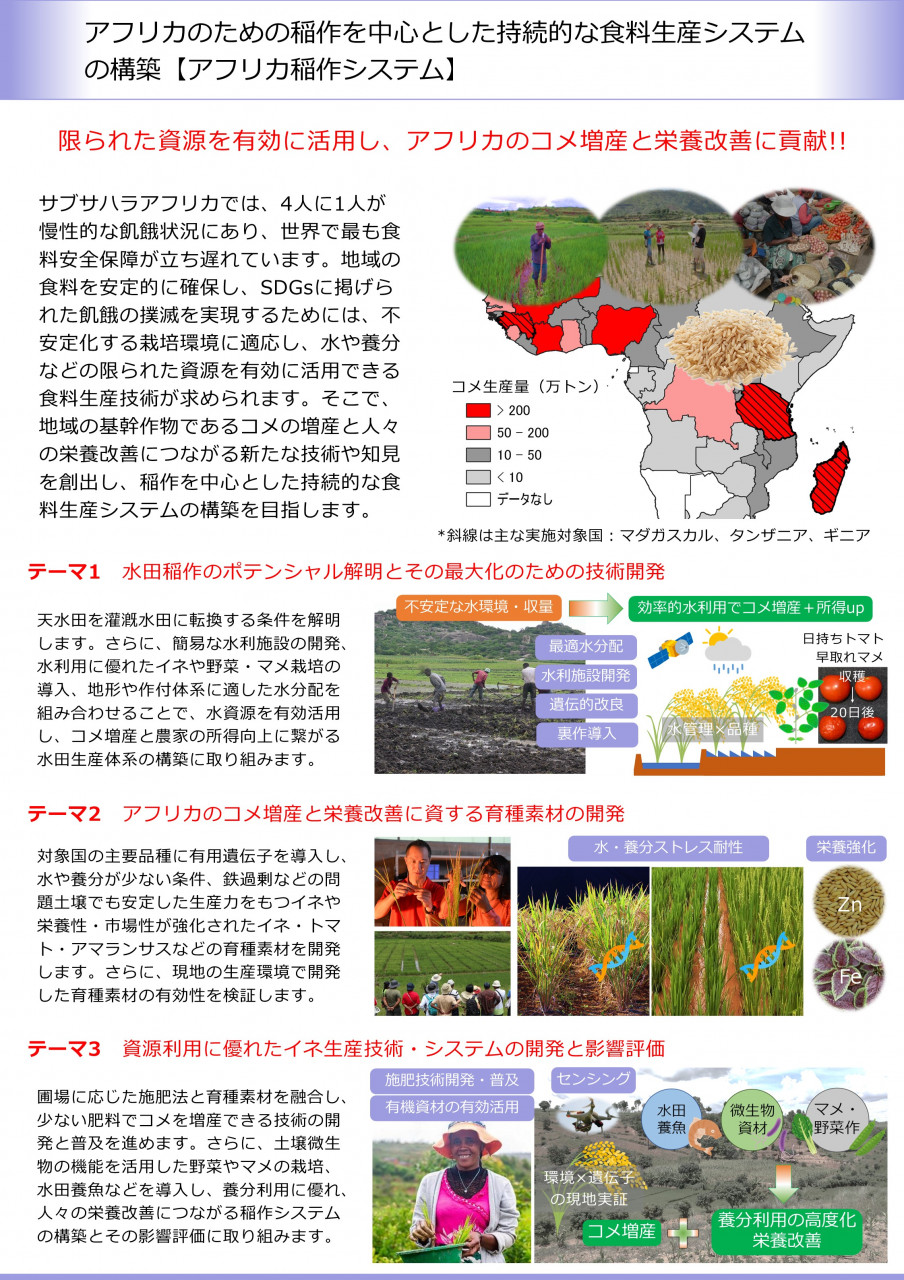 アフリカのための稲作を中心とした持続的な食料生産システムの構築【アフリカ稲作システム】
