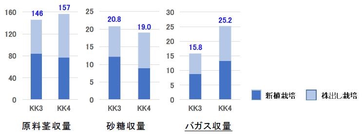 図1 タイ国東北部のコンケン県における「KK4」の新植と株出し栽培における単位面積当たりの収量（t/ha）