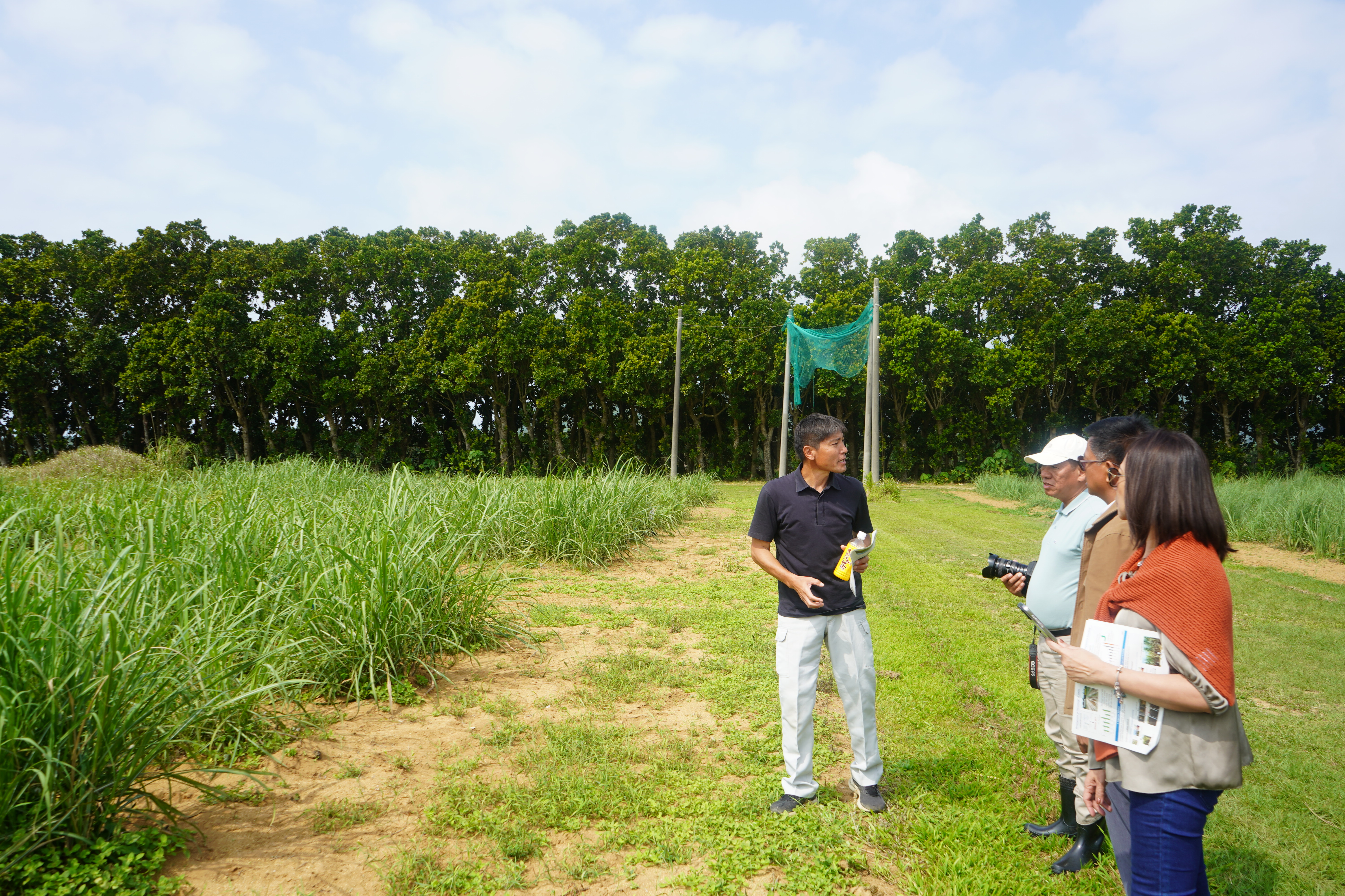 熱帯・島嶼研究拠点での圃場試験を紹介する寺島主任研究員