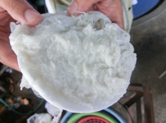 写真1. 液状化した発酵型米麺