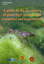 A guide to the co-culture of giant tiger prawn with a seaweed and a microsnail