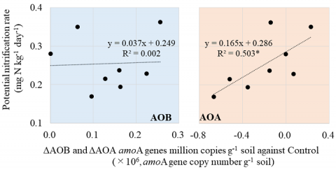 Fig. 3. Relationships between potential nitrification rates and changes in AOB and AOA against Control