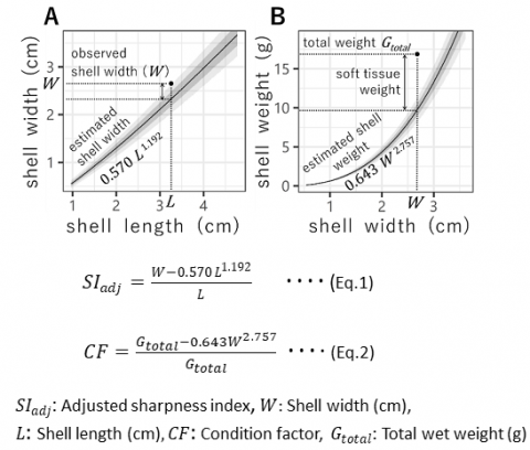 Fig 2. Scatter plots to estimate equations for the adjusted sharpness index (A) and the condition factor