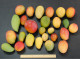 多様なマンゴー品種