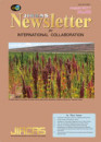 jircas newsletter 82 cover jircas newsletter 82 cover