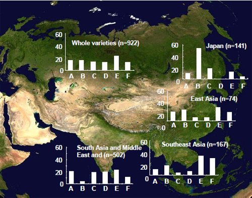 Fig. 1. Frequencies of varieties’ groups