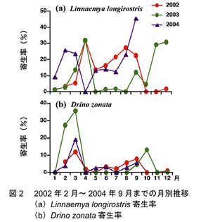 図2