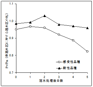 図2