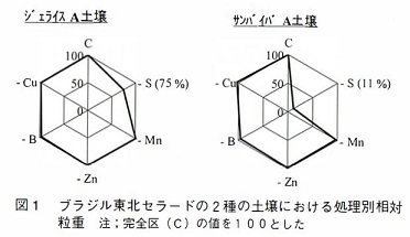 図1