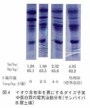 図4