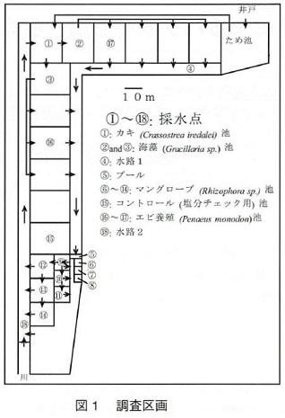 図1