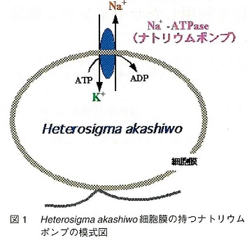 図1