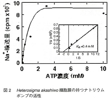 図2