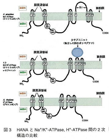 図3