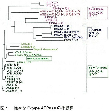 図4