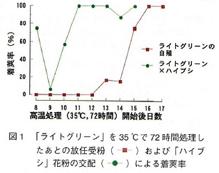 図1