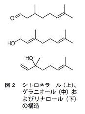 図2