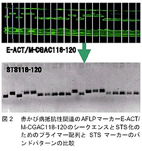 図2