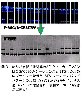 図3