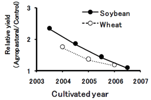 Year-to-year variations of relative yields of soybean and wheat production