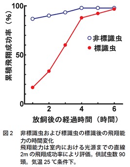 図2