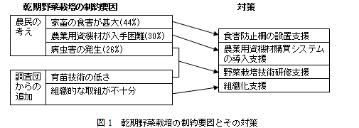 図1　乾季野菜栽培の制約要因とその対策