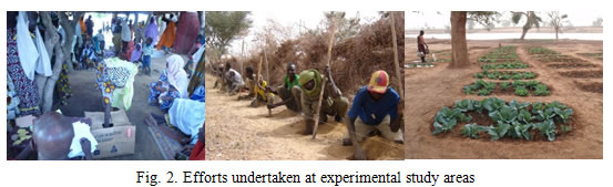 Fig.2. Efforts undertaken at experimental study areas