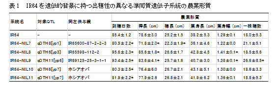 表1　IR64を遺伝的背景に持つ出穂性の異なる準同質遺伝子系統の農業形質