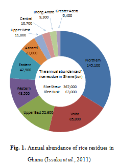 Fig.1.　Annual abundance of rice residues in Ghana