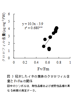 図3　冠水したイネの葉身のクロロフィル含量とFv/Fmの関係