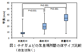 図1　テナガエビの生息場所間の体サイズ比較（幼生は除く）