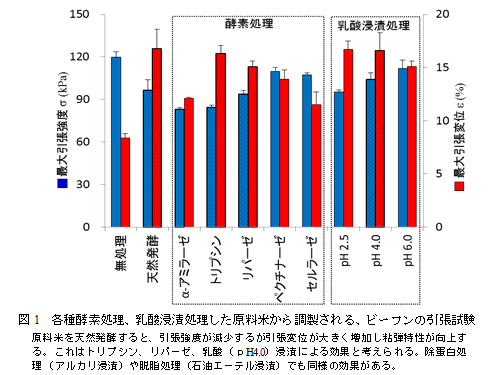 図1　各種酵素処理、乳酸清漬処理した原料米から調整される、ビーフンの引張試験