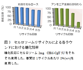 図3　セルロソームリサイクルによる各ラウンドにおける糖化効率　糖化反応にセルロソーム2mg CBM-CglT 5Uをそれぞれ使用した。基質は1サイクルあたり1%(w/v)を使用した。