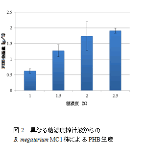 図2　異なる糖濃度搾汁液からのB.megaterium MC1株によるPHB生産