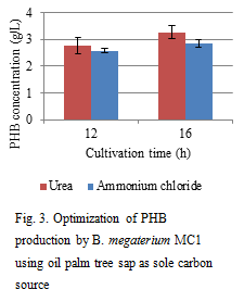 Fig.3. Optimization of PHB production by B.megaterium MC1 using oil palm tree sap as sole carbon source