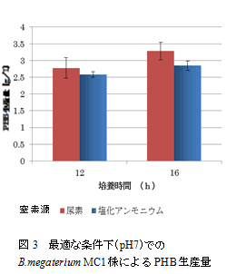 図3　最適な条件下(pH7)でのB.megateriumMC1株によるPHB生産量