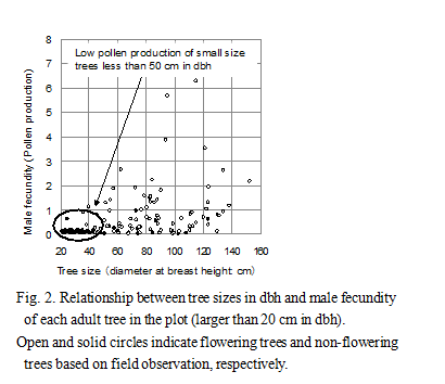"alt":"Fig.2. Relationship between tree sizes in dbh and male fecundity of each adult tree in the plot (larger than 20cm in dbh)."