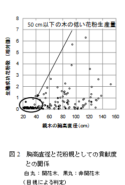 図2　胸高直径と花粉親としての貢献度との関係　白丸：開花木、黒丸：非開花木（目視による判定）