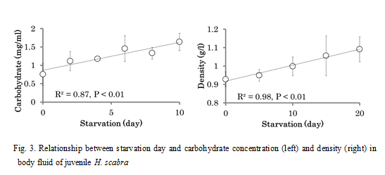 Fig.3. Relationship between starvation day and carbohydrate concentration (left) and density (right) in body fluid of juvenile H.scabra