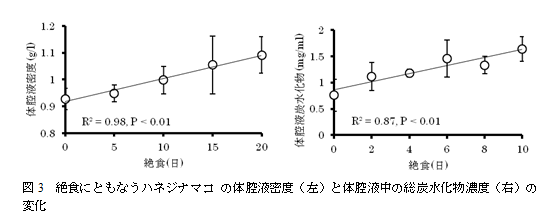図3　絶食にともなうハネジナマコの体腔液密度（左）と体腔液中の総炭水化物濃度（右）の変化