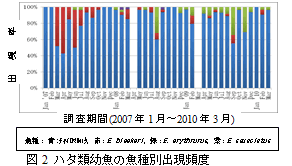 図2　ハタ類幼魚の魚種別出現頻度